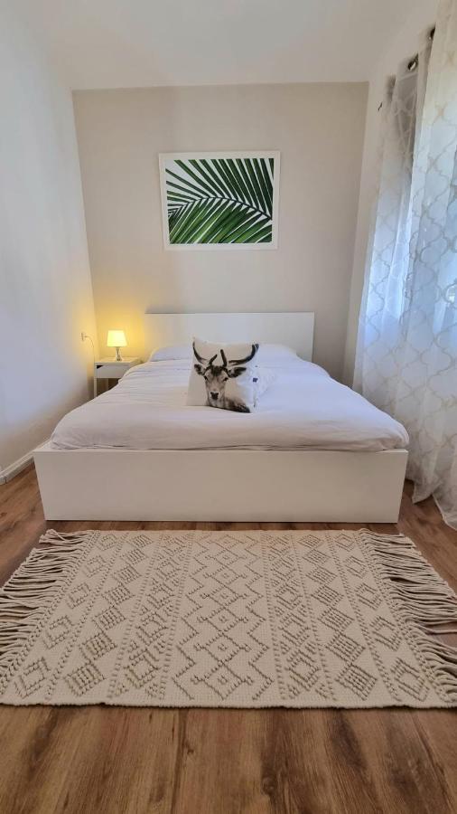 Villa Gal Eilat Bagian luar foto